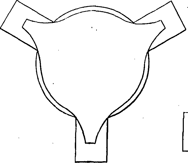 096/096680190000150_0.png