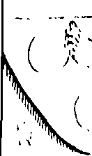 096/096680190000220_0.png