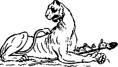 096/096680190000230_6.png