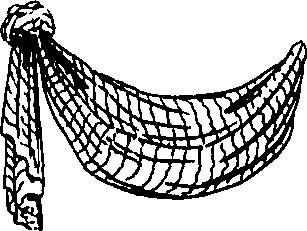096/096680190000240_2.png