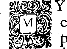 096/096710280001420_0.png