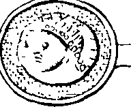 096/096720050000580_8.png