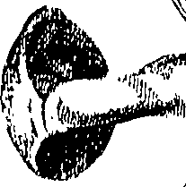 096/096730080101030_0.png