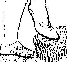 096/096730080102460_0.png