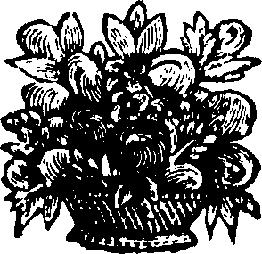 096/096740050003570_0.png