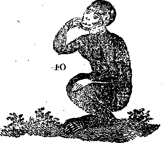 096/096820110000370_2.png