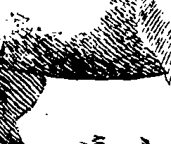 096/096820110000580_1.png