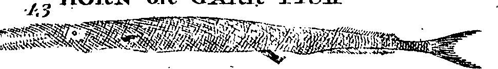 096/096820110001920_3.png