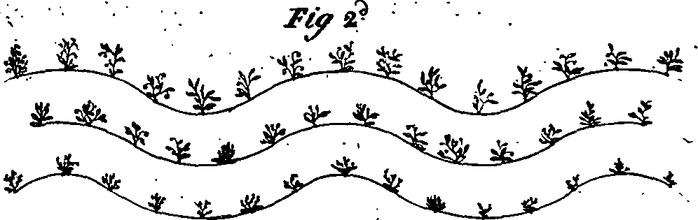 096/096830050000030_1.png