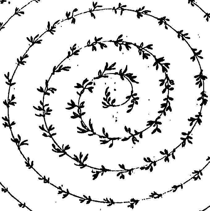 096/096830050000070_0.png
