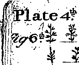 096/096830050000080_1.png