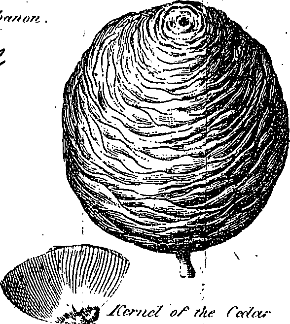 096/096840010301860_0.png