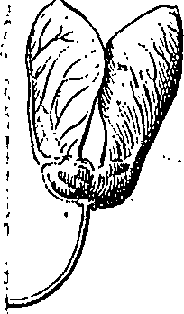 096/096840010301860_1.png