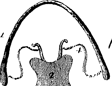 096/096850030000290_0.png