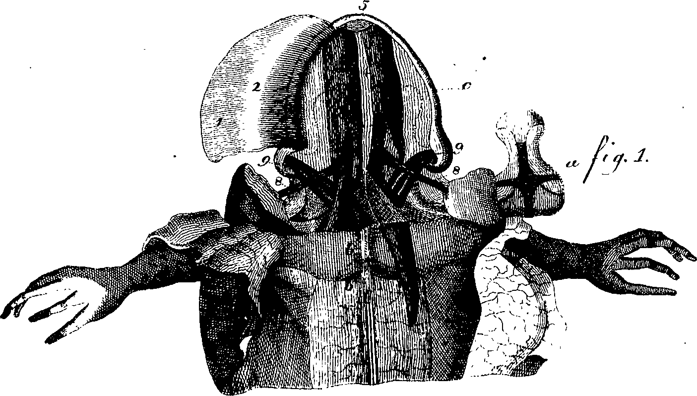 096/096850030000290_1.png
