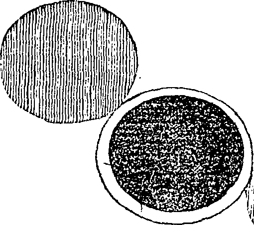 096/096870190000180_2.png