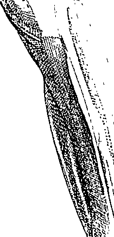 096/096940040000230_0.png