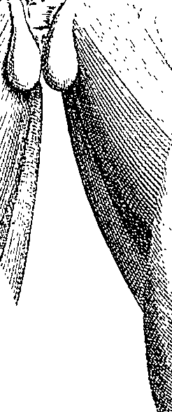 096/096940040000230_1.png