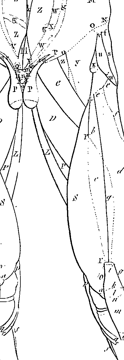 096/096940040000240_1.png
