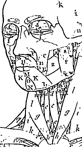 096/096940040000240_2.png