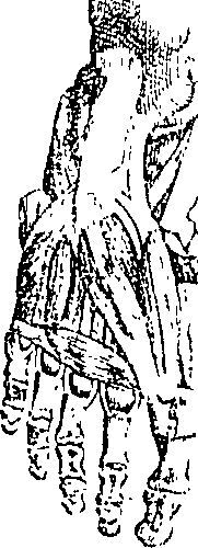 096/096940040000610_0.png