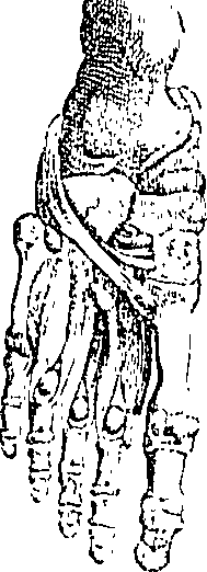 096/096940040000610_1.png
