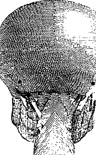 096/096940040000610_3.png