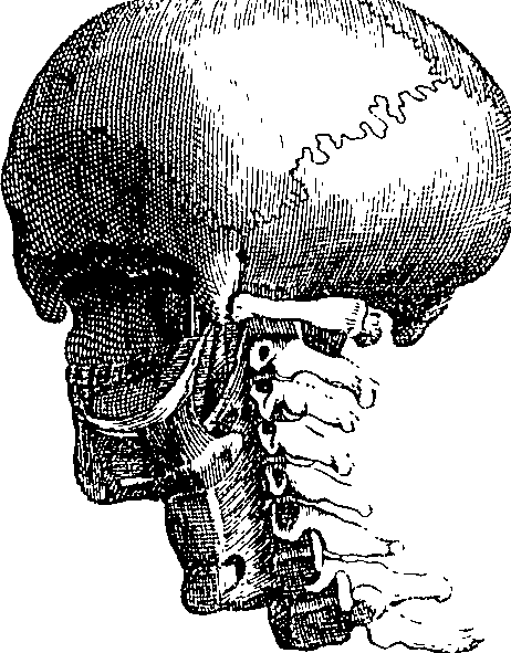 096/096940040000610_4.png