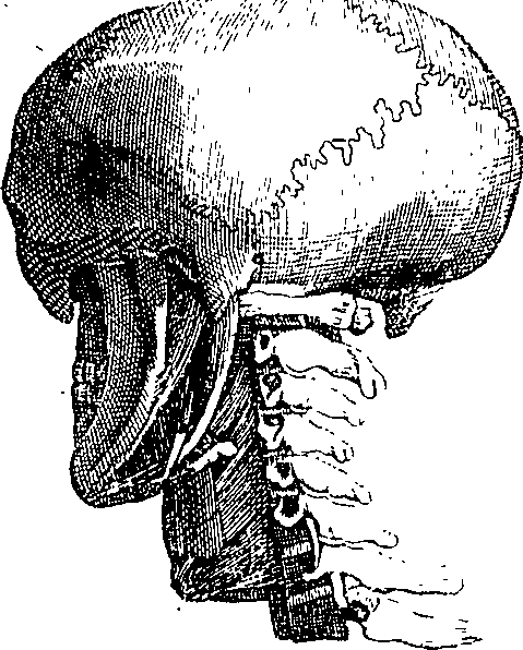 096/096940040000610_5.png