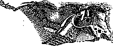 096/096940040000700_0.png