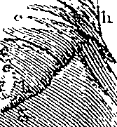 096/096940040000700_1.png