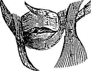 096/096940040000700_2.png