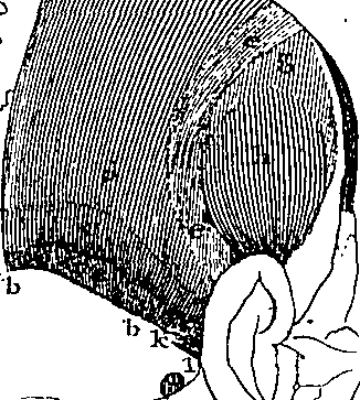 096/096940040000700_3.png