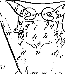 096/096940040000790_1.png