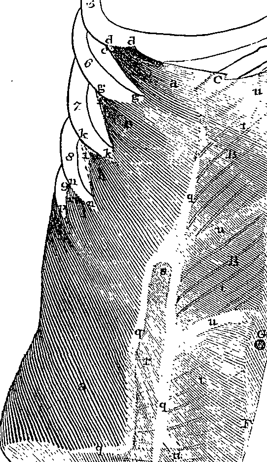 096/096940040000860_0.png