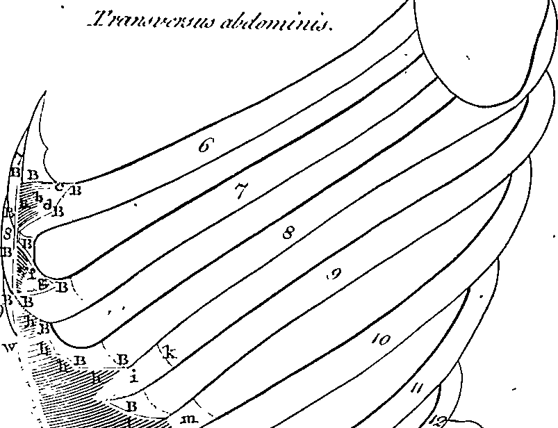 096/096940040000890_0.png
