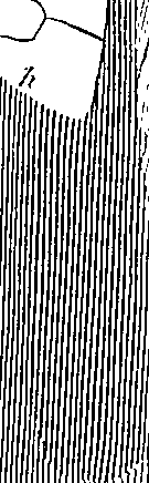 096/096940040000940_0.png