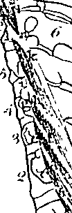 096/096940040000970_0.png