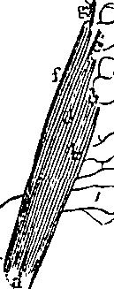 096/096940040000970_1.png