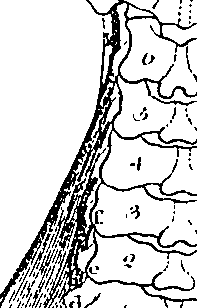 096/096940040000970_2.png