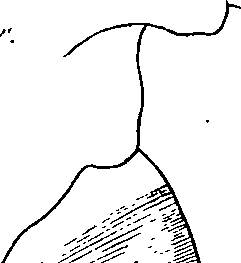 096/096940040001070_0.png
