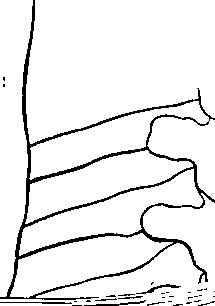 096/096940040001070_1.png