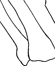 096/096940040001100_0.png