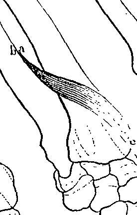 096/096940040001150_0.png