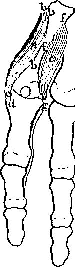 096/096940040001150_2.png
