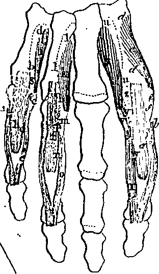 096/096940040001150_3.png