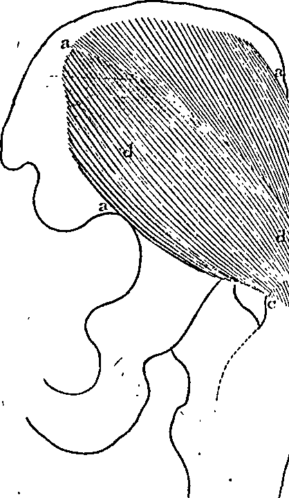 096/096940040001220_5.png