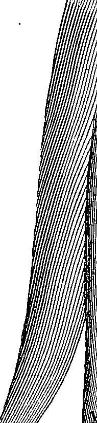 096/096940040001250_1.png