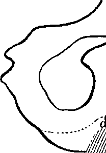 096/096940040001250_2.png