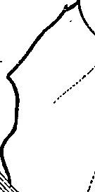 096/096940040001250_4.png